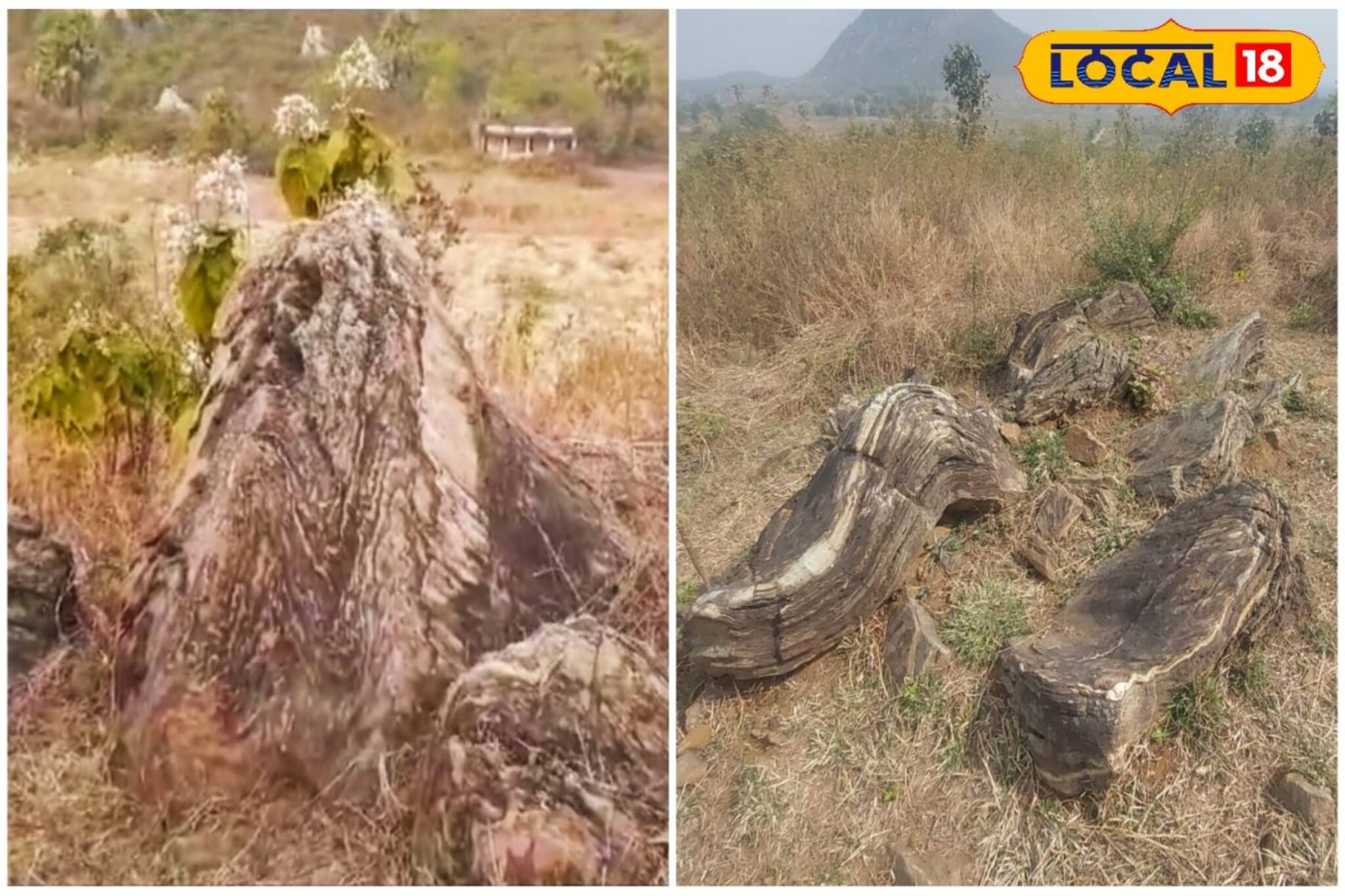 পুরুলিয়ায় ডাইনোসরের জীবাশ্ম! আসলে 'ওটা' কী? এলাকায় বাড়ছে জল্পনা