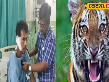 বাঘে