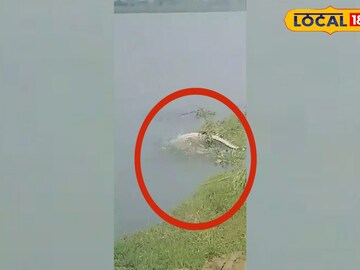 গঙ্গার