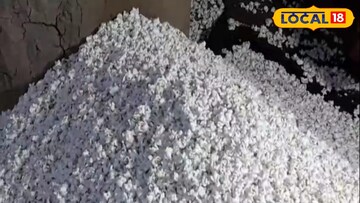 গ্যামার