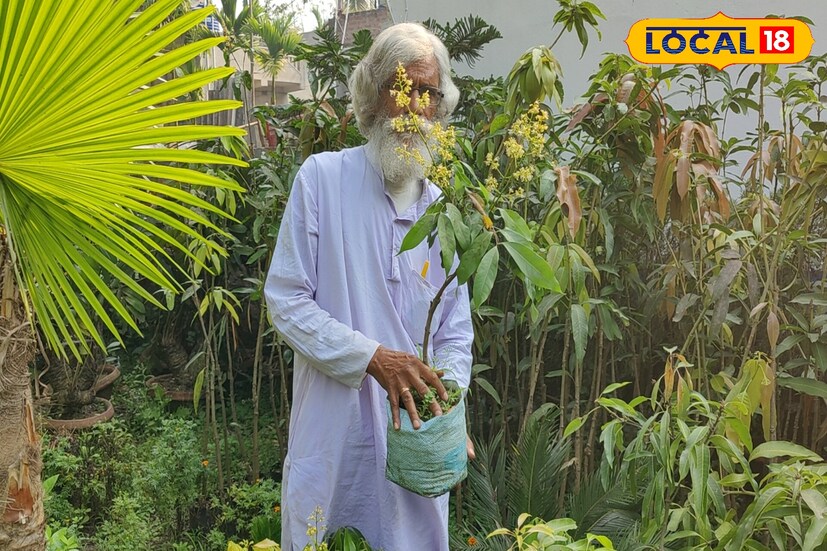 *তবে সাধারণত এই ফল কিনেই খেতে হয়। কিন্তু এবার আর লিচু কিনে খাওয়ার কোনও প্রয়োজন নেই। স্বল্প মূল্যে বাড়িতেই বসাতে পারবেন লিচু গাছ।