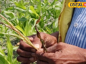 ক্ষতিগ্রস্ত