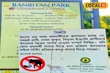 এক বিজ্ঞপ্তিতেই সল্টলেকে মৃত্যু মুখে সারমেয়রা! সারাদিন কোনও খাবারই জুটছে না
