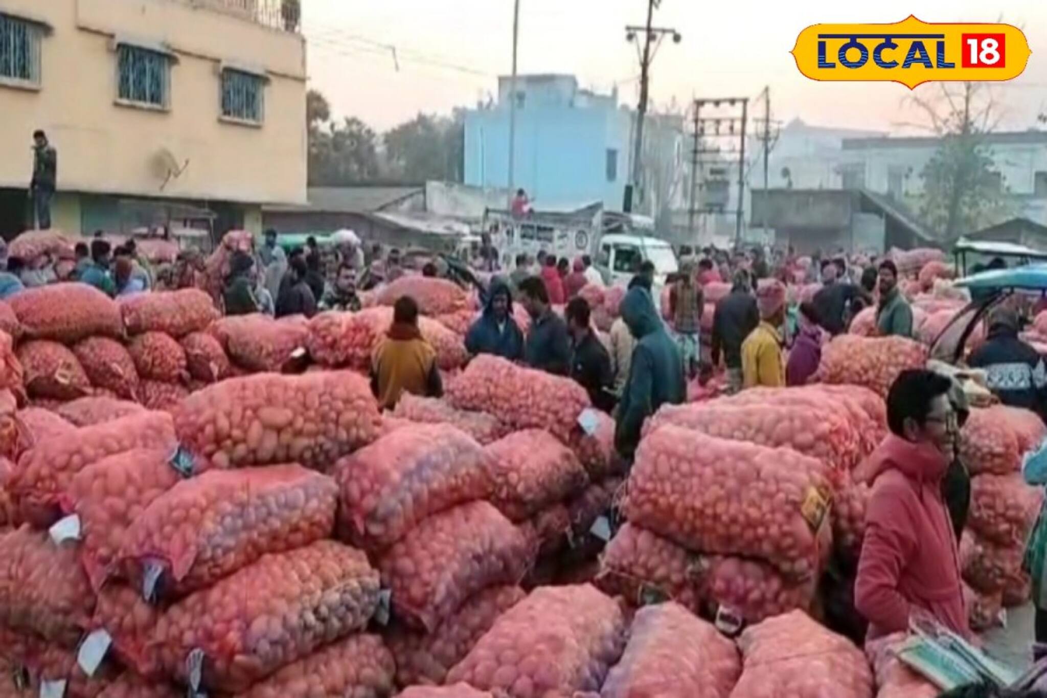 উল্টে গেল সবকিছু! বেশি লাভের আশায় হিমঘরে না রেখে আলু বিক্রির হিড়িক