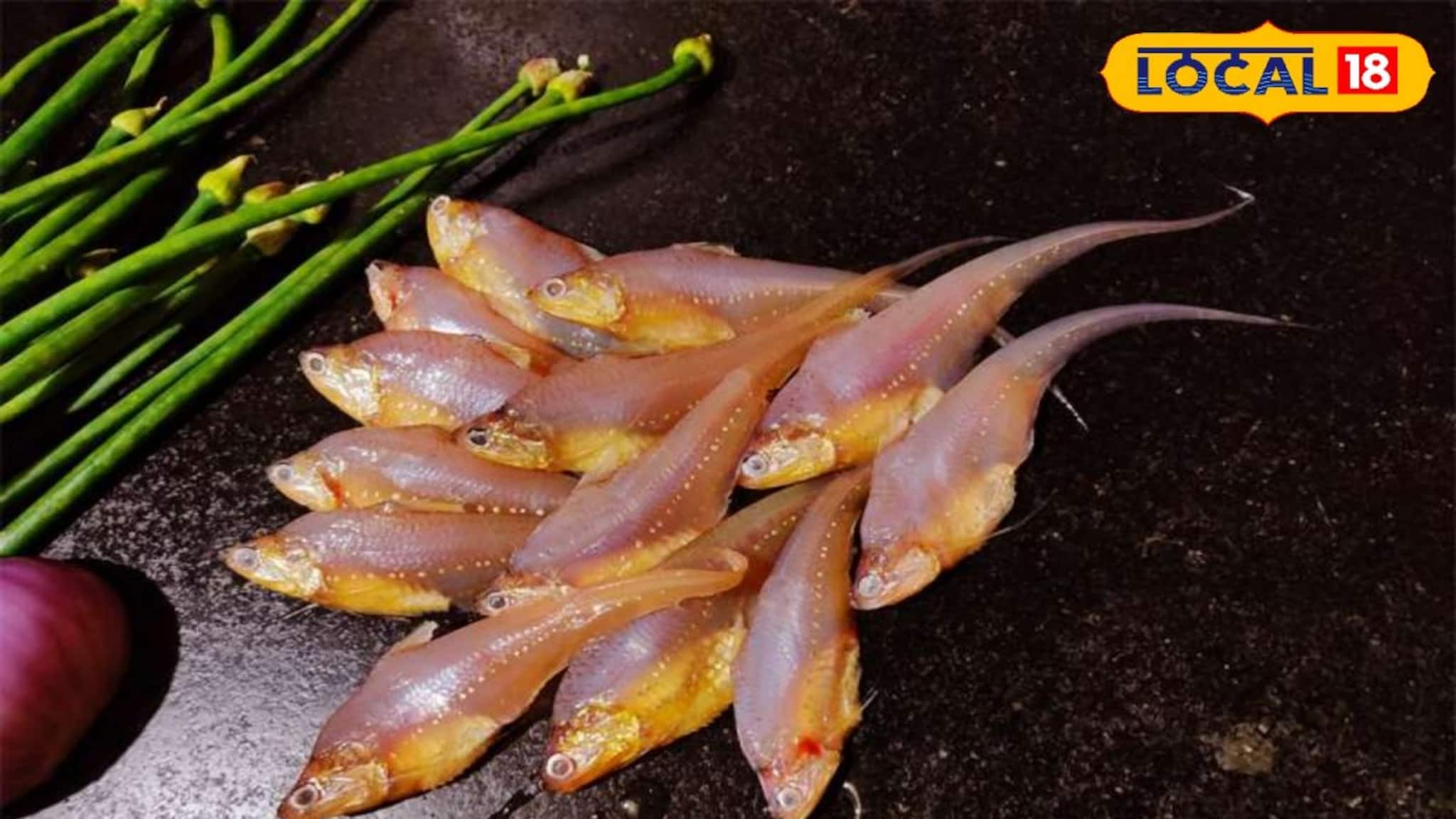 Health Tips: কম দামের ছোট এই মাছই সর্বরোগহরা! কাছে ঘেষতে দেয় না ক্যানসারকে, আরও অনেক রোগের যম