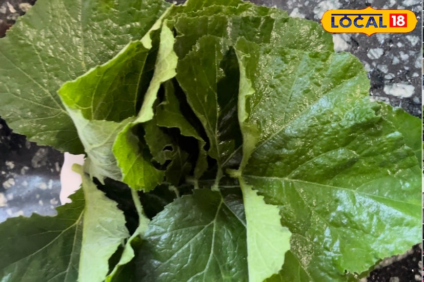 বেলদার গৃহবধু মণি মুখার্জী বলেন, মোরালা পাতুরি তৈরি করতে প্রয়োজন কুমড়ো পাতা , মোরালা মাছ ,পোস্ত, কালো সরষে বাটা, সাদা সরষে বাটা ,সর্ষের তেল, পরিমাণ মতো নুন, হলুদ গুঁড়ো, জিরেগুঁড়ো, টমেটো কুচি ,পেঁয়াজ কুচি লেবুর রস।