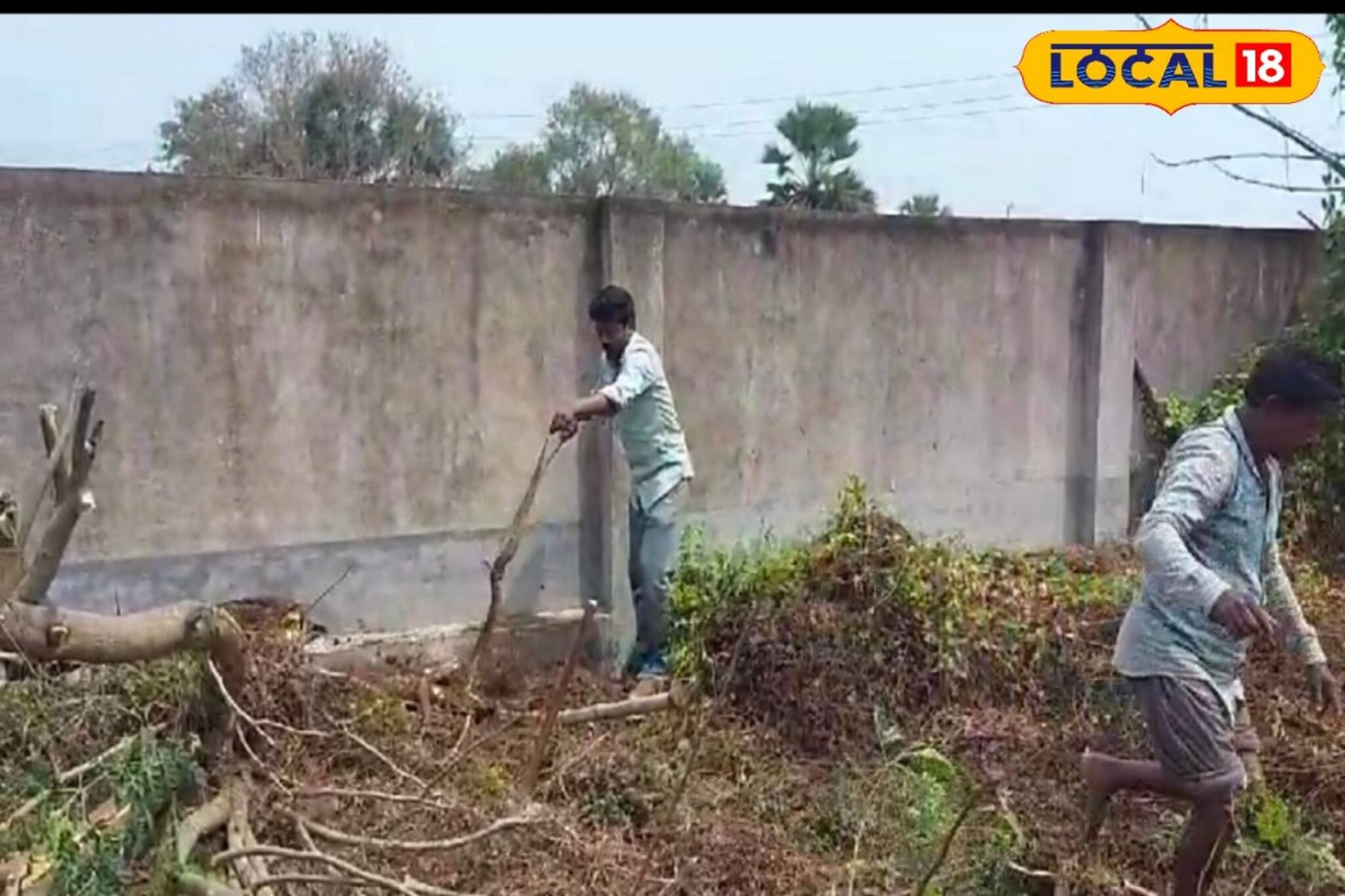 ভয়ানক কাণ্ড! প্রথমে ফোঁস ফোঁস শব্দ, কাছে যেতেই যা বেরিয়ে এল..., দেখুন ভিডিও