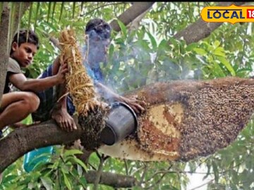 এভাবেই