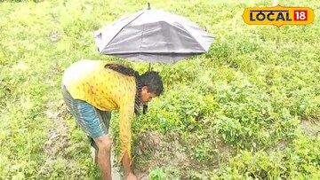 অসময়ের