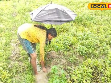 অসময়ের