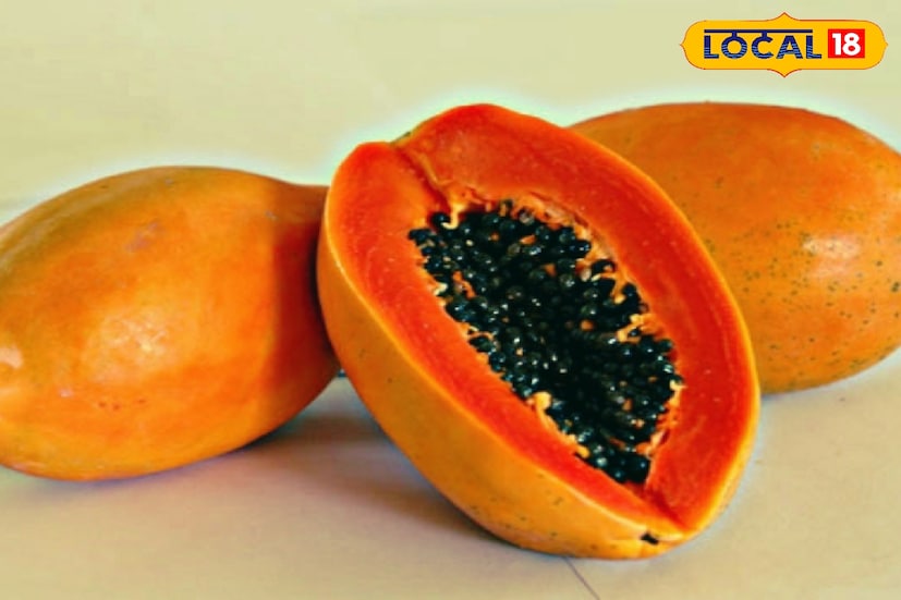 *মেন্সট্রুয়াল সাইকেল ঠিক রাখতে পাকা পেঁপে খাওয়া ভাল। পেঁপের মধ্যে রয়েছে ক্যারোটিন। দেহে ইস্ট্রোজেনের ভারসাম্য ঠিক রাখে। ফলে অনিয়মিত ঋতুস্রাবের সমস্যায় দূর করে।