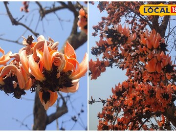পুরুলিয়া