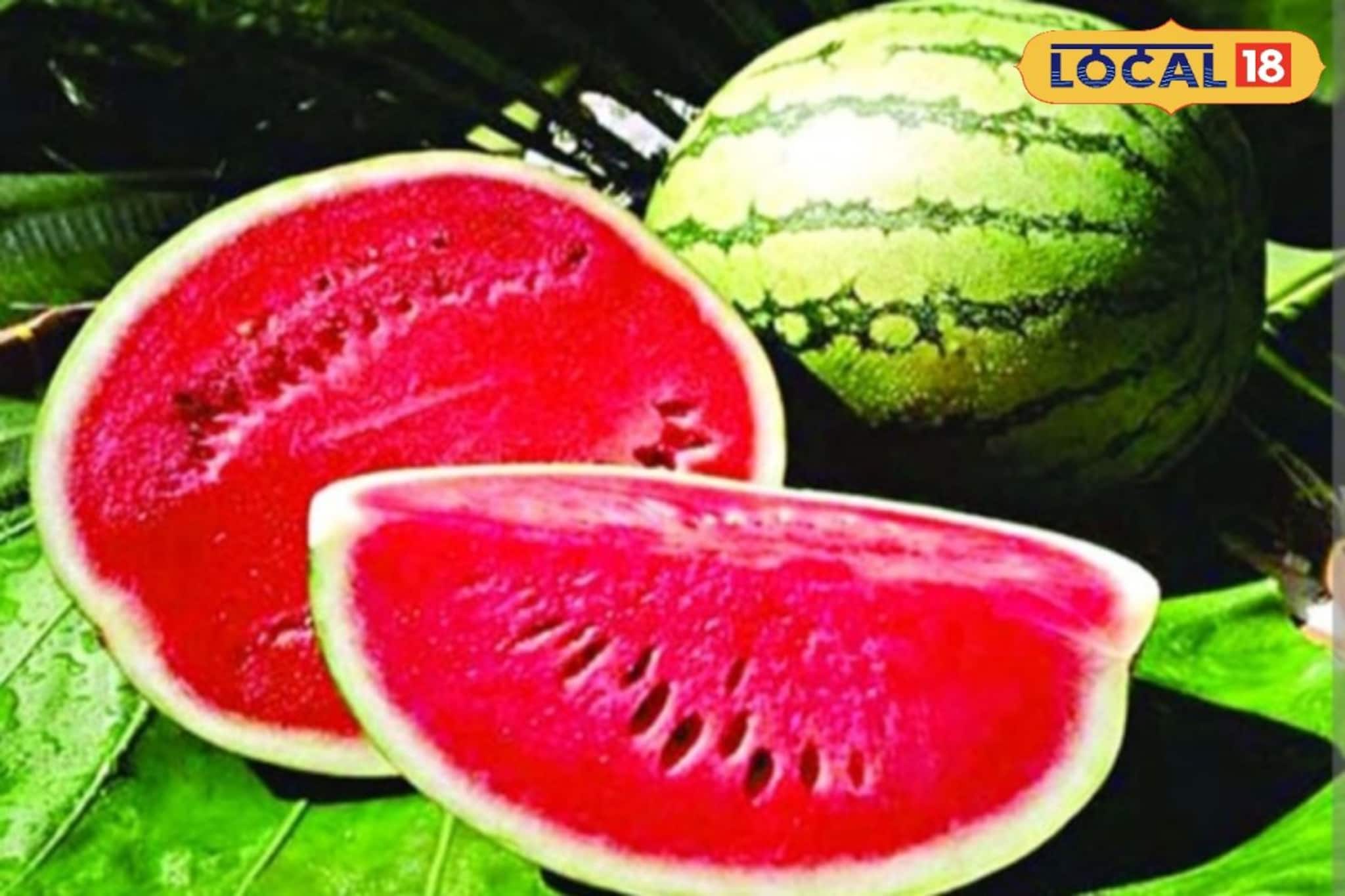 এই উপায়ে সহজে বাজারে রসালো, টকটকে লাল মিষ্টি তরমুজ বেছে নিন!