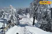 গাছের পাতা থেকে পাকদণ্ডী ঢেকেছে পুরু বরফের চাদরে! দেখুন তুষারসুন্দরী সান্দাকফু