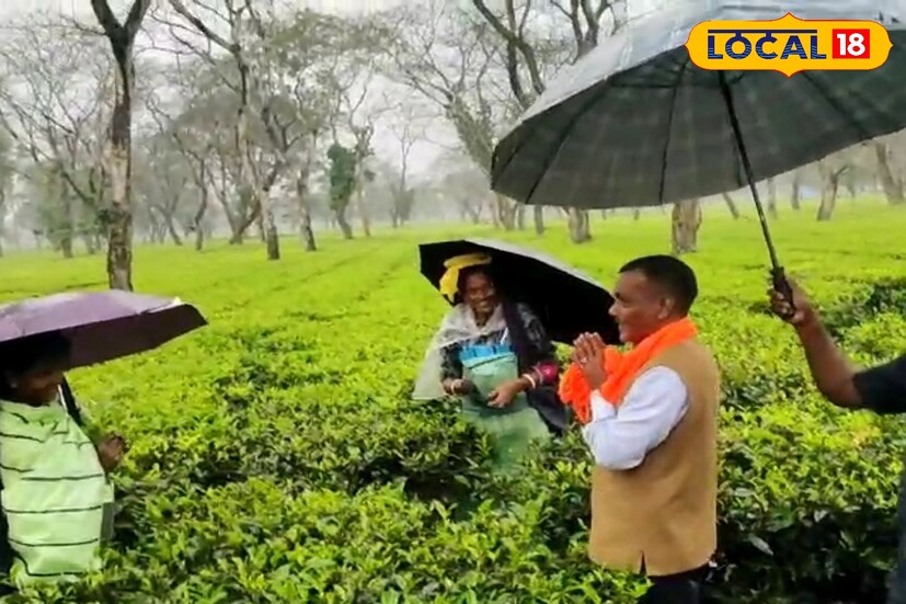 ভোটে জেতার পর চা বাগানের সমস‍্যা সমাধানের আশ্বাস দিলেন