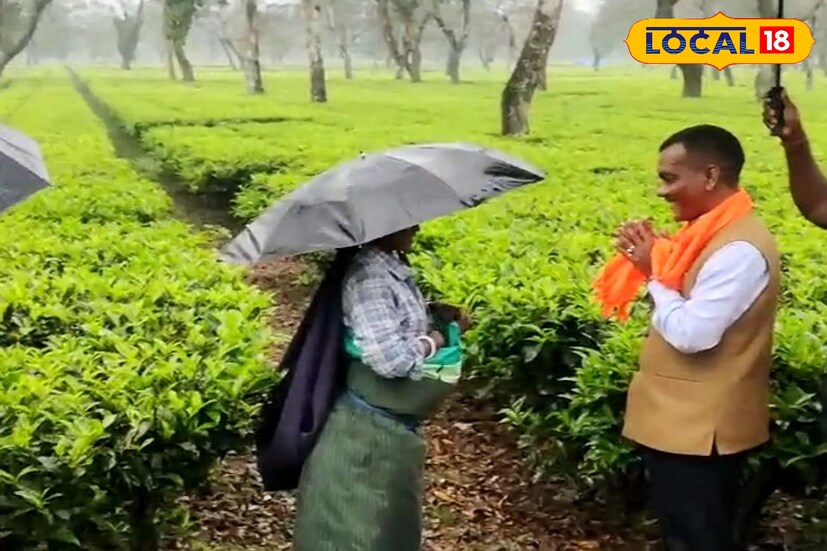 চা বাগান শ্রমিকদের কাছে যাওয়া বাগানে গেলেই সম্ভব বলে জানালেন প্রার্থী 