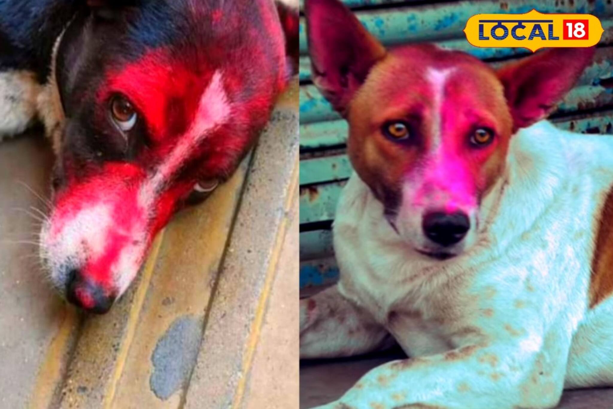 অবলাদের দূরে রেখেই মাতুন রংয়ের উৎসবে, সংযত না হলে পড়তে পারেন বিপদে