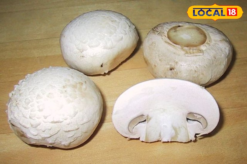 *মাশরুম থেকে পেয়ে যাবেন ভিটামিন D। ভিটামিন ডি সমৃদ্ধ খাবার খিদে কমায় বলে ওজন কমাতেও সাহায্য করে৷