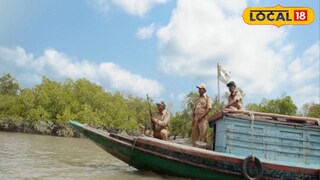 নজরদারি বনদফতরের নজরদারি বনদফতরের