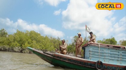 নজরদারি বনদফতরের নজরদারি বনদফতরের