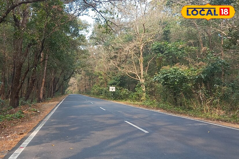 জলপাইগুড়ি জেলা বন দফতরের বন্যপ্রাণ বিভাগের আধিকারিক দিজ্জপ্রতিম সেন বলেন, এই কাজ কেবল হোলি বা নির্দিষ্ট কোনও কমিউনিটিকে লক্ষ করে নয়। বন দফতরের অভিজ্ঞতায় দেখা গেছে বছরের নির্দিষ্ট কিছু সময় আছে, যেখানে প্রচুর মানুষের জমায়েত হয় এবং নেশাগ্রস্থ অবস্থায় থাকেন তারা। তাই বনকে বাঁচাতেই এই উদ্যোগ