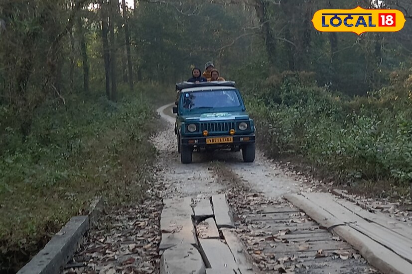 হোলি উৎসবের পাশাপাশি হোলি কে কেন্দ্র করে শিকার উৎসবের একটি রীতি রেওয়াজ রয়েছে আদিবাসী সম্প্রদায়ের মধ্যে। যেখানে মানুষেরা জঙ্গলে ঢুকে বন্য প্রাণীর শিকার করে থাকে 