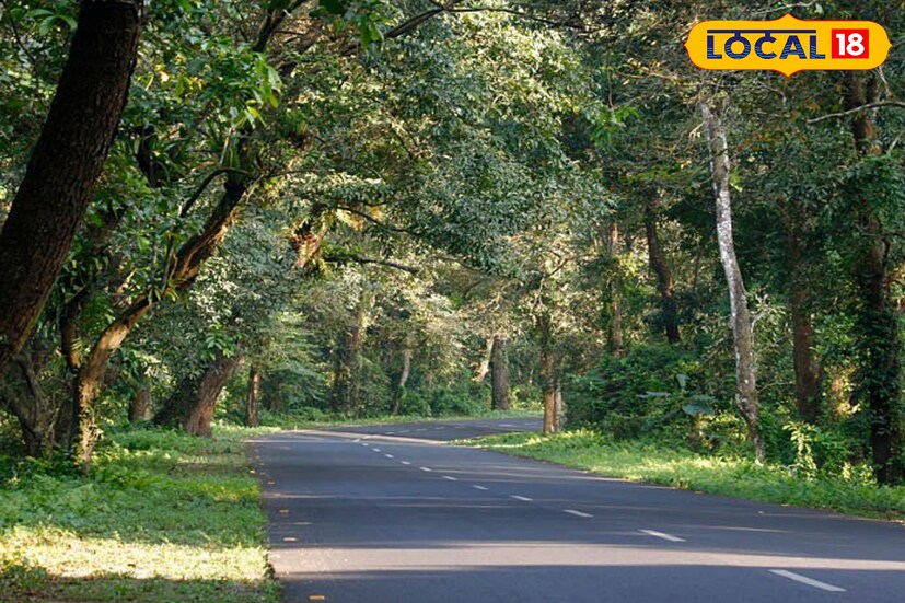 তাই বন্যপ্রান রক্ষার স্বার্থে হোলির দু' দিন সংরক্ষিত বনাঞ্চল বন্ধ রাখার সিদ্ধান্তের কথা ঘোষনা করলো জলপাইগুড়ি জেলা বন দফতর 