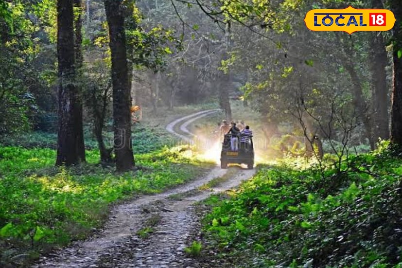গরুমারা জাতীয় উদ্যান থেকে শুরু করে চাপরামারি অভয়ারণ্য, ন্যাওড়া ভ্যালি জাতীয় উদ্যান বন্ধ রাখা হবে