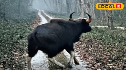 প্রতিকী ছবি