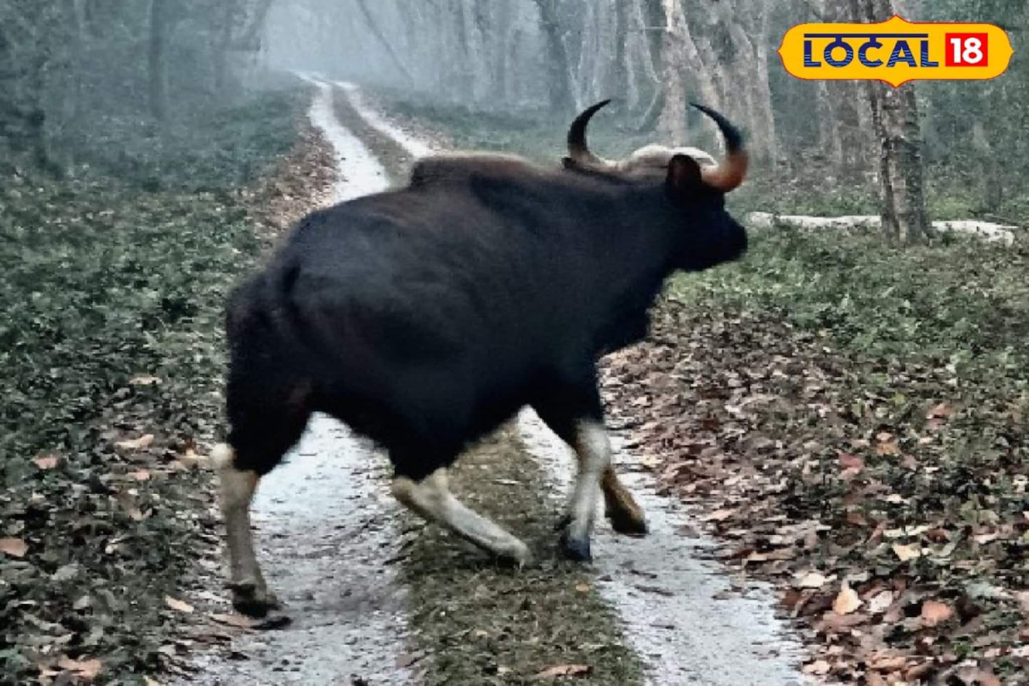 দোলের আগে ছড়াল আতঙ্ক