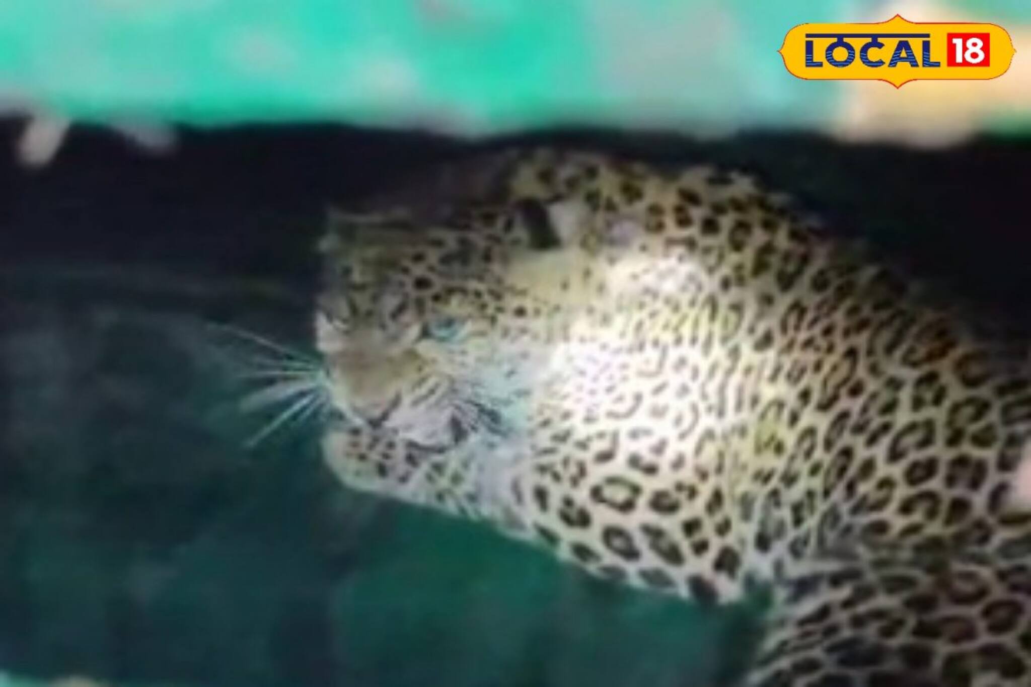 দোলের আগে বিরাট স্বস্তি ডুয়ার্সে, কী হল জানুন