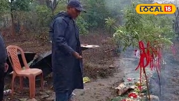 সাংসারী