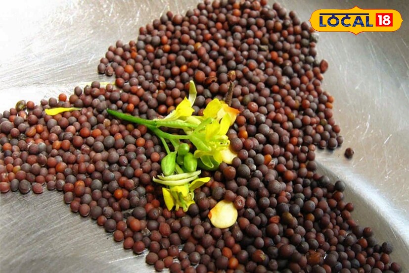 ঘর ঘর শব্দ করে সরষে পিষে তৈরি হয় তেল। দেখুন কীভাবে কাচ্চি ঘানিতে খাঁটি সরষের তেল হয়।