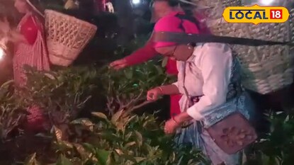 উত্তরের চায়ের আর‌ও স্বাদ আনতে অভিনব উদ্যোগ