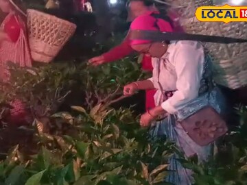 উত্তরের চায়ের আর‌ও স্বাদ আনতে অভিনব উদ্যোগ