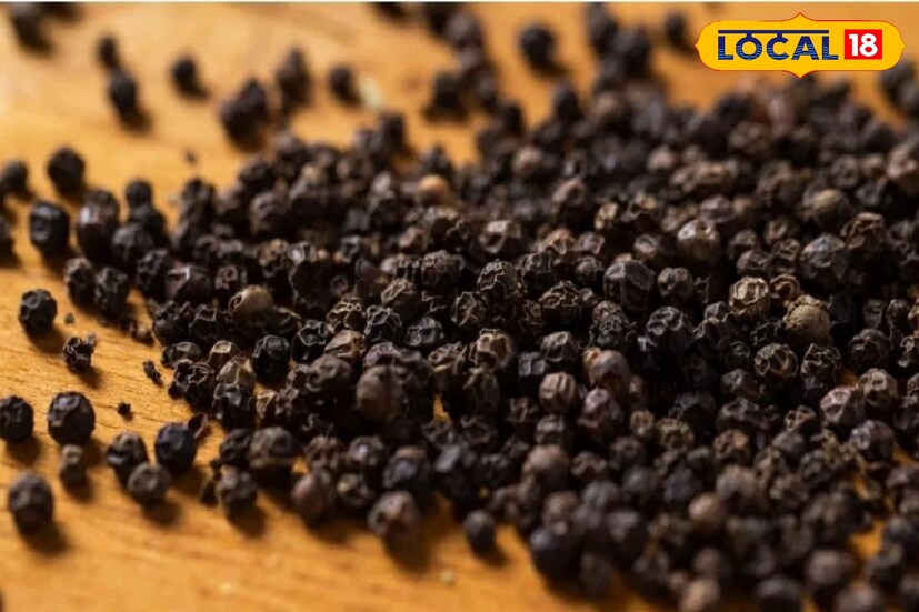 বিশেষজ্ঞদের মতে, পুরনো ব্যথা বেদনা থেকে অনেক রোগ জন্ম দিতে পারে।গোলমরিচে রয়েছে অ্যান্টিইনফ্লেমেটারি গুণ। যা পুরনো কোনও ব্যথা বা ফোলাভাব থাকলে, তা কমিয়ে দিতে গোলমরিচ কার্যকরী। তথ্য - সুস্মিতা গোস্বামী বিশেষজ্ঞদের মতে, পুরনো ব্যথা বেদনা থেকে অনেক রোগ জন্ম দিতে পারে।গোলমরিচে রয়েছে অ্যান্টিইনফ্লেমেটারি গুণ। যা পুরনো কোনও ব্যথা বা ফোলাভাব থাকলে, তা কমিয়ে দিতে গোলমরিচ কার্যকরী। তথ্য - সুস্মিতা গোস্বামী