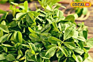 সস্তার এই সুস্বাদু শাকে ওজন কমবে হুহু করে, ডায়াবেটিস থাকব বশে, কমবে সস্তার এই সুস্বাদু শাকে ওজন কমবে হুহু করে, ডায়াবেটিস থাকব বশে, কমবে