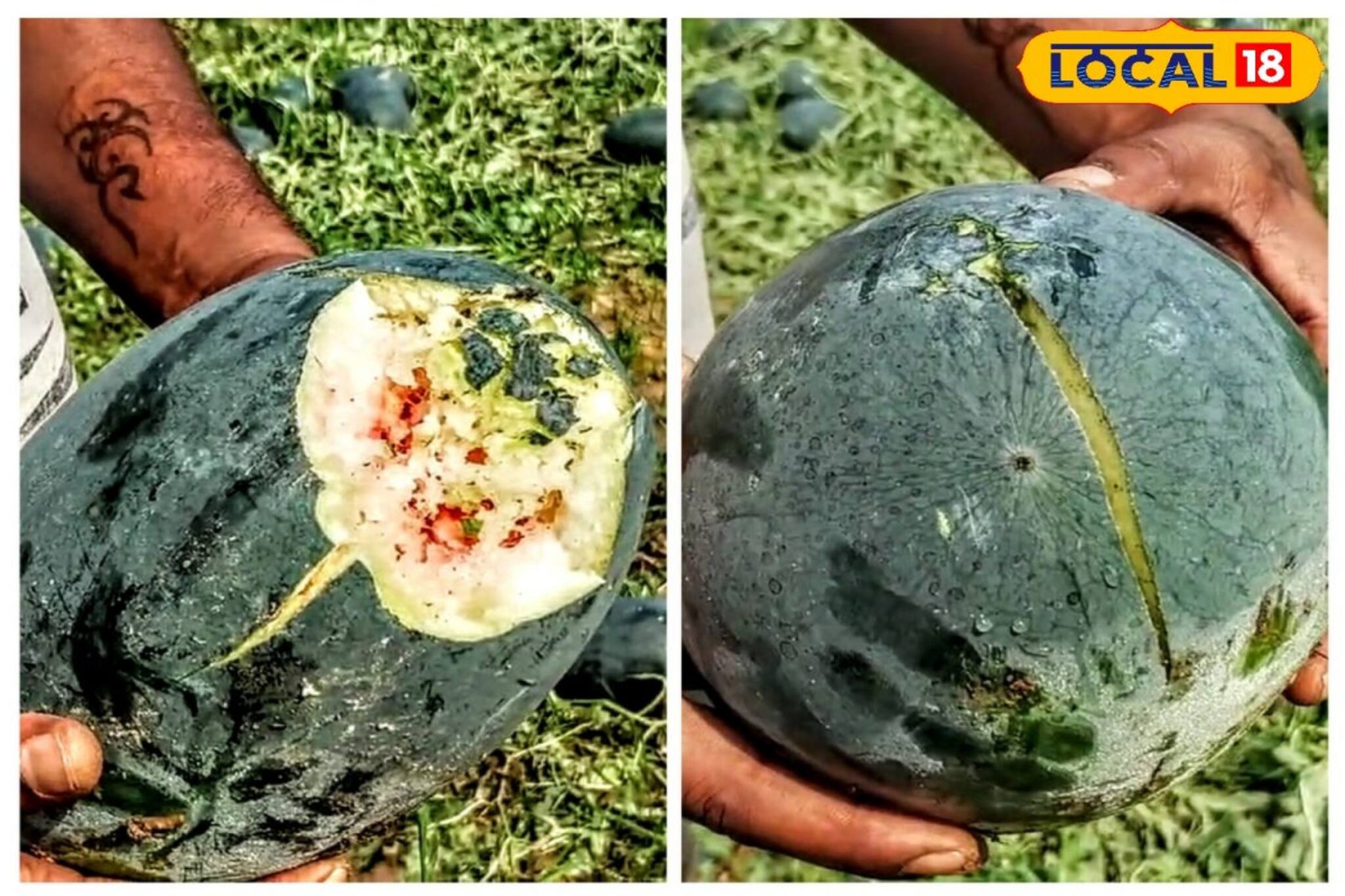 ইফতারে আর পাতে থাকবে না তরমুজ! কয়েক ঘণ্টার শিলা বৃষ্টিতে সব শেষ...