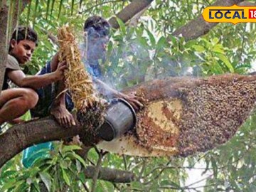 মধু