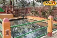 পুকুরের জলেই ঘটে অলৌকিক ঘটনা! শিব মন্দিরে কী ঘটে? জানলে অবাক হবেন