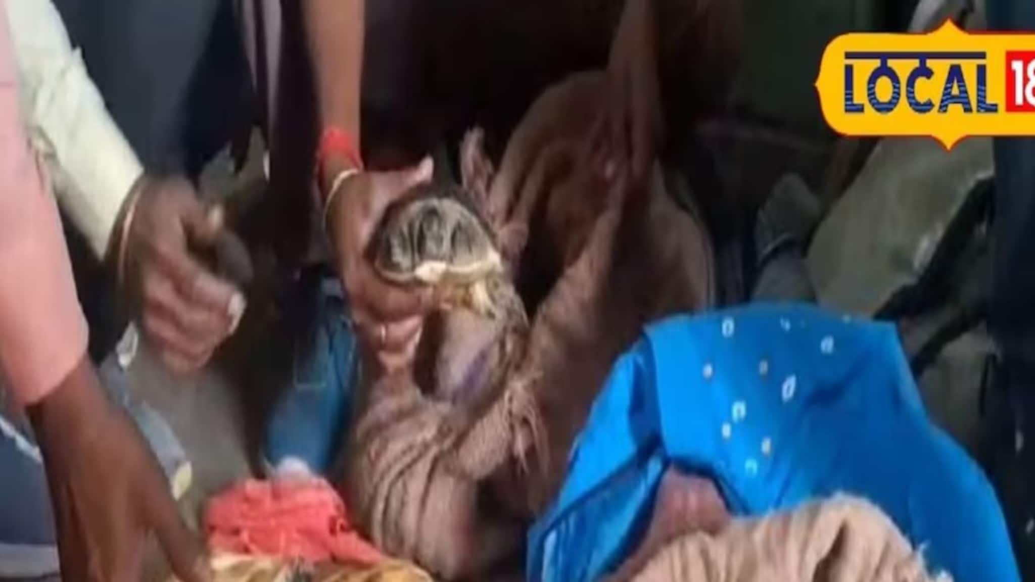 Rail: ব্যাগের মধ‍্যে ওটা কী? চক্ষু চড়ক গাছ রেল পুলিশের! শেওড়াফুলিতে ভয়ঙ্কর কাণ্ড