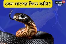 সাপের জিভ নয় তো যেন কাঁটা চামচ! এই জিভেরই আলাদা ব্যবহার রয়েছে!