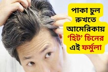 বলুন তো চুলের পাক রুখতে সকাল সকাল কী খান চিনের মানুষ? এখন আমেরিকাতেও হিট ফর্মুলা