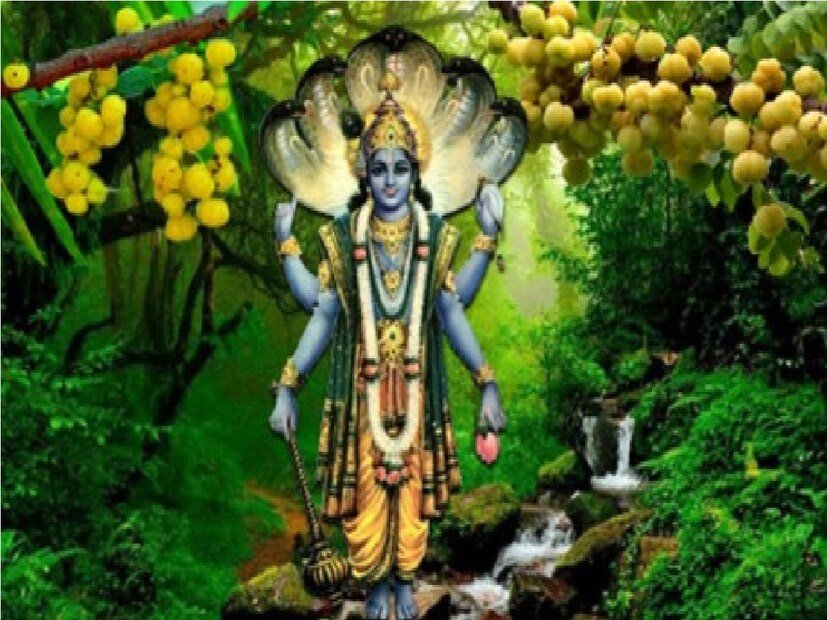 এই বিশেষ দিনে আমলকি গাছের পুজো করলে ঋণের হাত থেকে মুক্তি মেলে।চাকরি,ব‍্যবসাতে মেলে সুফল বলে জানিয়েছেন জ‍্যোতিষবিদ। Input-  Annanya Dey