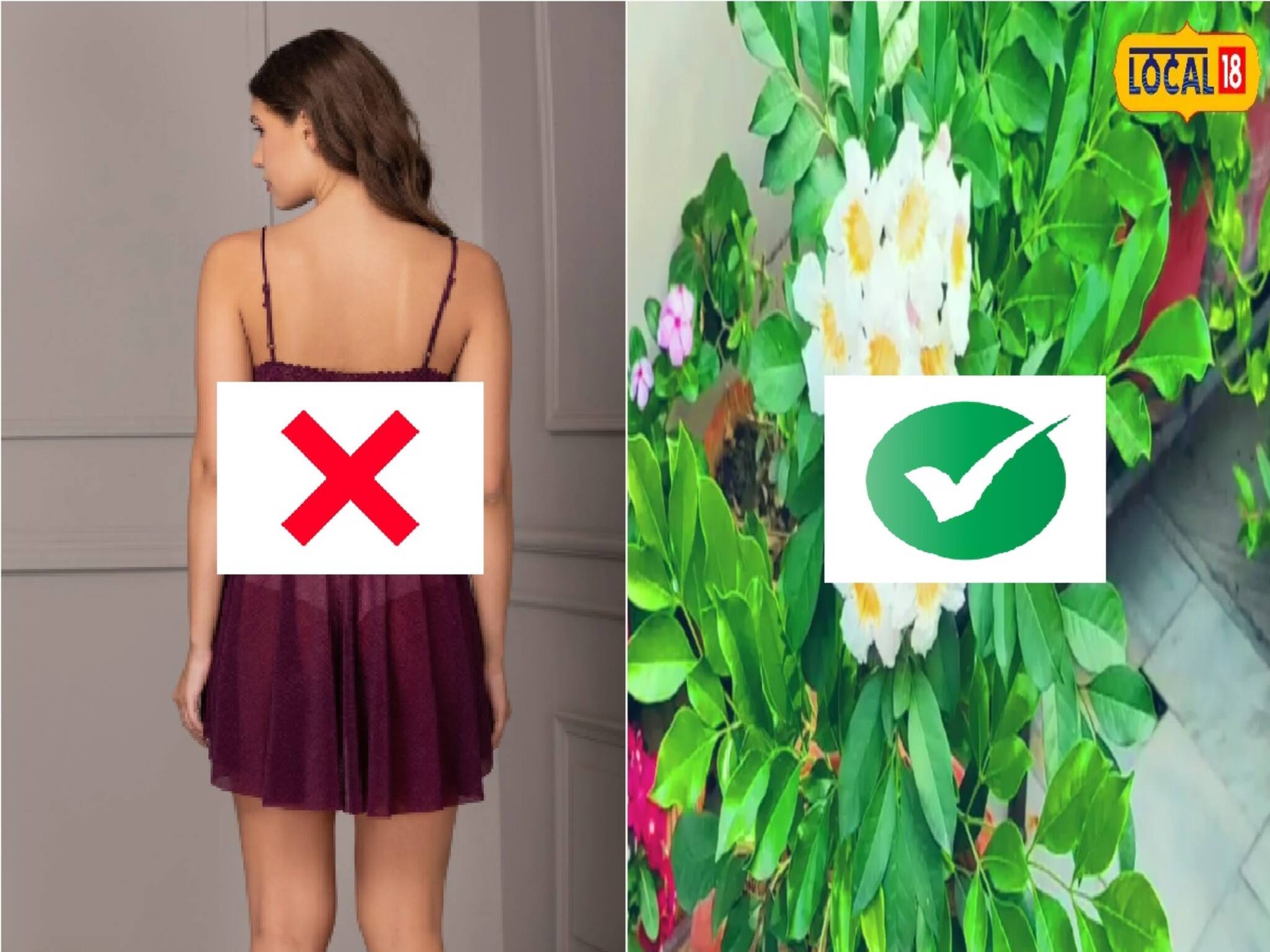 যেটা ভাবছেন সেটা নয়,বেবিডলে রাখুন,সাপের ছোবলে ক্ষতি নেই,পোকমাকড়ের কামড়ে মহৌষধ