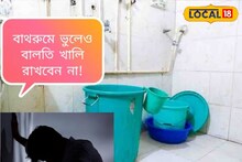 বাথরুমের বালতি রাখার ভুলে তছনছ জীবন! সংসারে বিরাট বিপর্যয়, পথের ভিখারি করে দেয়