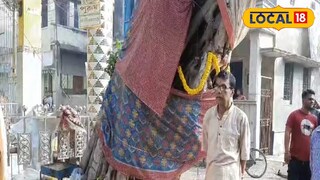 ঐতিহ্যশালী সেই গাছ