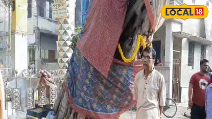 ঐতিহ্যশালী সেই গাছ ঐতিহ্যশালী সেই গাছ