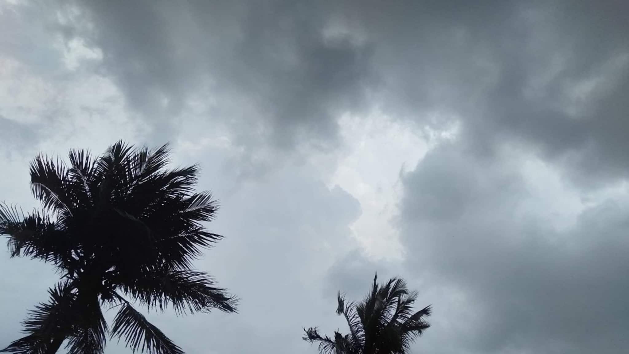 North 24 Parganas: ক্ষতি হয়েছে কয়েক লক্ষ টাকা, কয়েক মিনিটের ঝড়ে ছারখার দেগঙ্গা