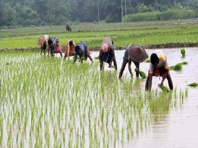 এছাড়াও প্রাকৃতিক কারণে শিলাবৃষ্টি, ভূমিধ্বস, বন্যা, জল জমা এবং ফসল কাটার পরে খামারজাত করার আগে প্রাকৃতিক বিপর্যয়ের কারণে ফসল ক্ষতিগ্রস্ত হলেও এই প্রকল্পে ক্ষতিপূরণ দেওয়া হবে বলে জানানো হয়েছে। উল্লেখ্য বাংলা শস্যবীমা প্রকল্পে রাজ্য সরকার বিমার প্রিমিয়ামের সম্পূর্ণ খরচ বহন করে।